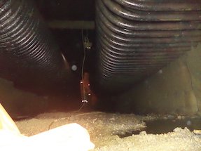 Generadores de Vapor